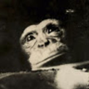 Meet your Posher, Teddy